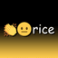 👏😐rice