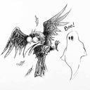 Scared Crow