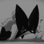 Eeveelutionz