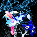 Vortic ◥θ┴θ◤