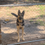 Corleone