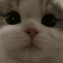 493rd
