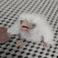 PepperQVQ