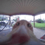 Bix