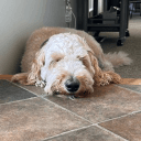 Tim