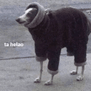 Hameline