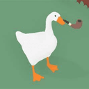 SpamSeagull