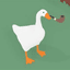 SpamSeagull
