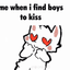Cat 1