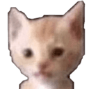 Brandon