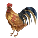 GuyCommadore