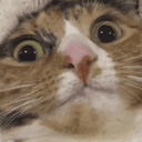 Imapotato