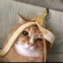 massivemouse