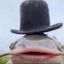 TheBritFish