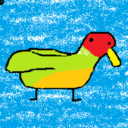 Zeno