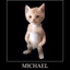 castlecat