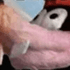 Ferkazo