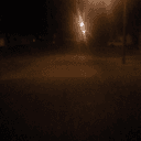 Wienerdog5